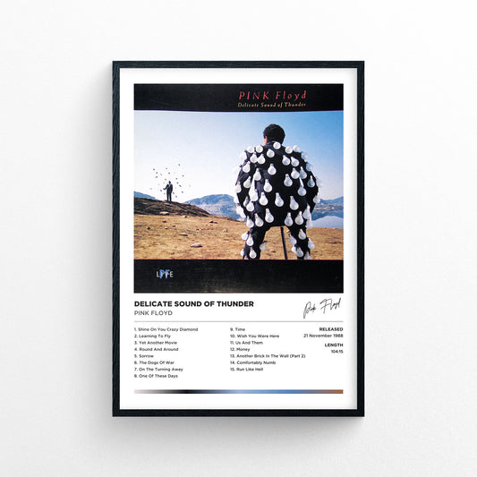 Pink Floyd - Delicate Sound Of Thunder Framed Poster Print | Polaroid Style | Album Cover Artwork